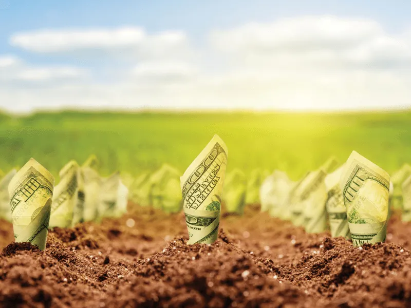 Billetes de dólar enrollados que brotan de la tierra como plantas